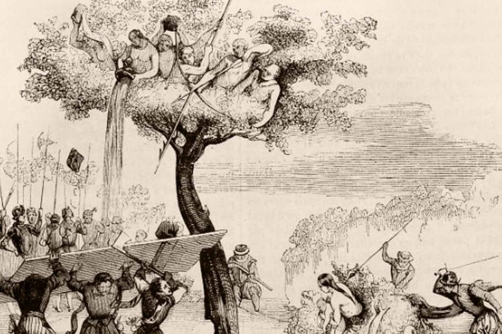 Native peoples hiding in tree from invaders