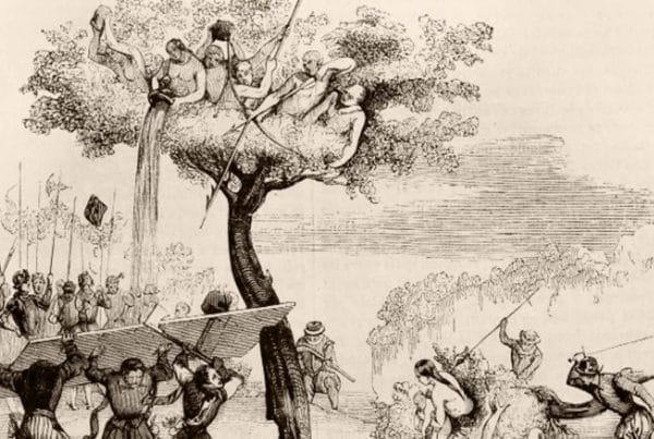 Native peoples hiding in tree from invaders