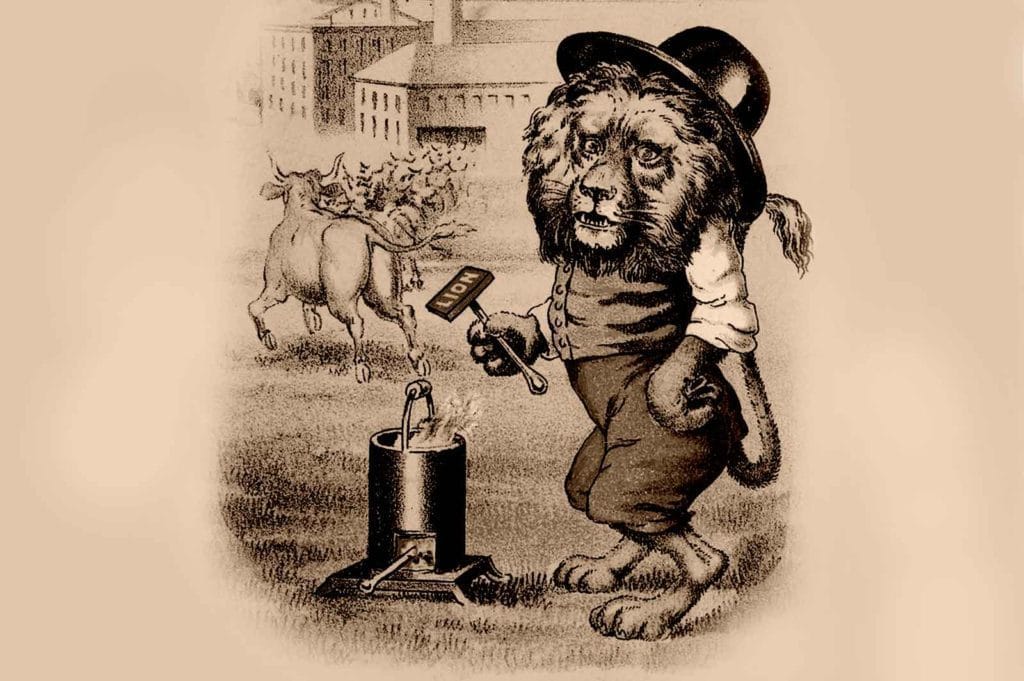 Lion Branding Cows